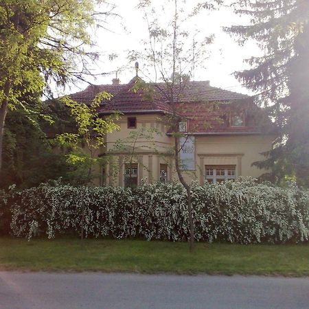 Villa Ricz Palić المظهر الخارجي الصورة