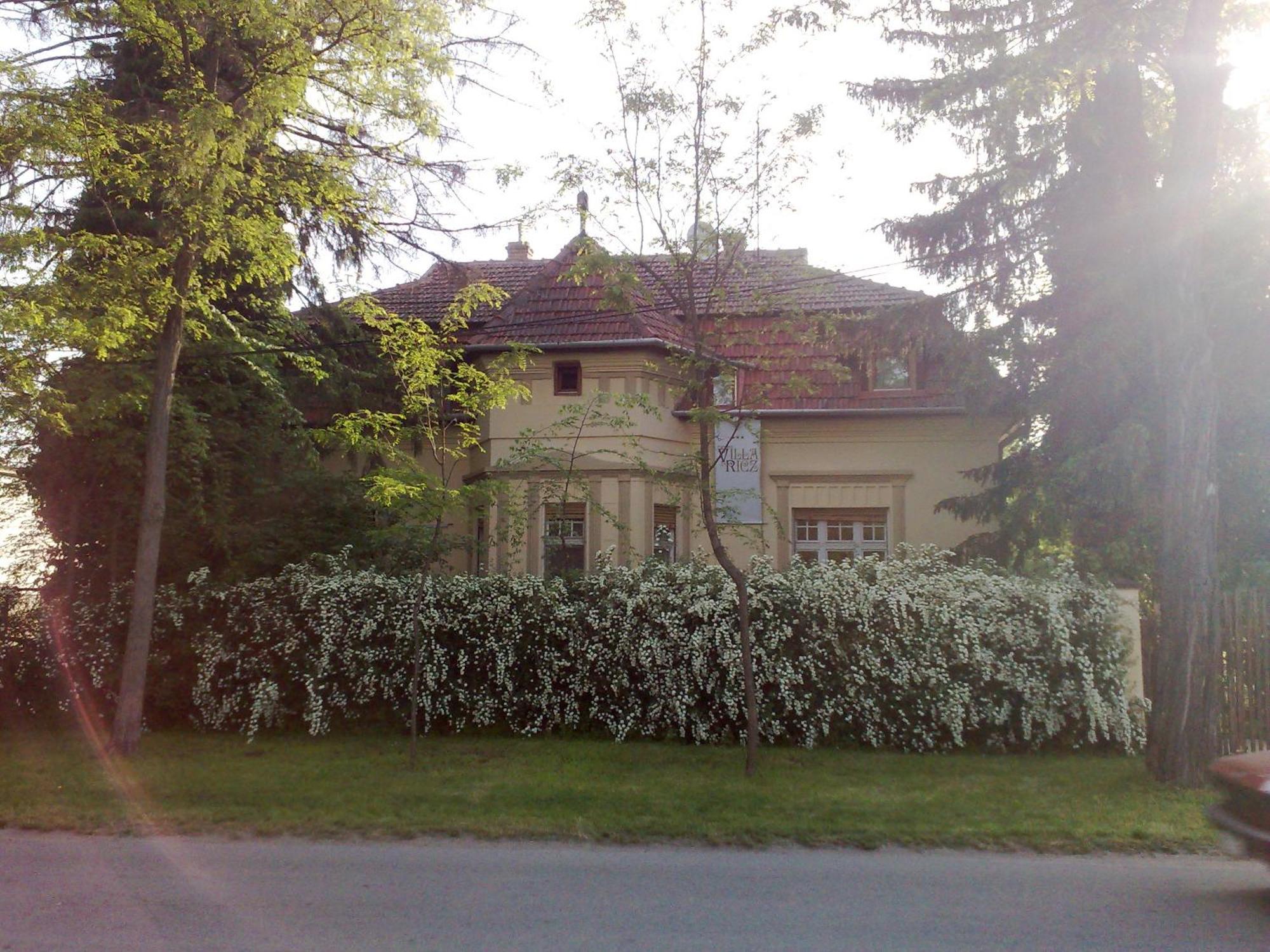 Villa Ricz Palić المظهر الخارجي الصورة