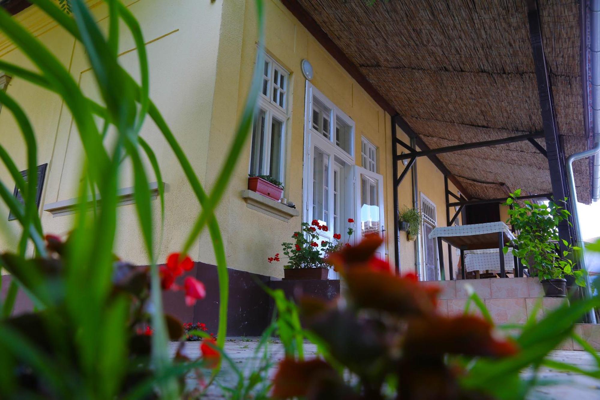 Villa Ricz Palić المظهر الخارجي الصورة