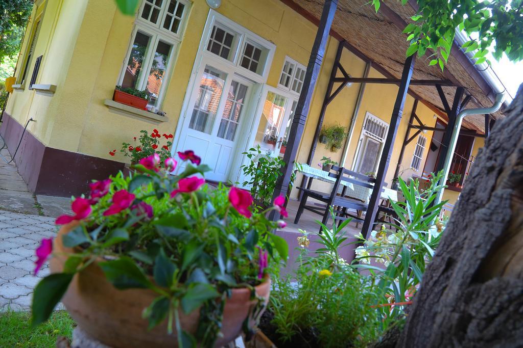 Villa Ricz Palić المظهر الخارجي الصورة